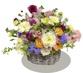 レッスンの画像