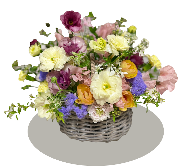 レッスンの画像